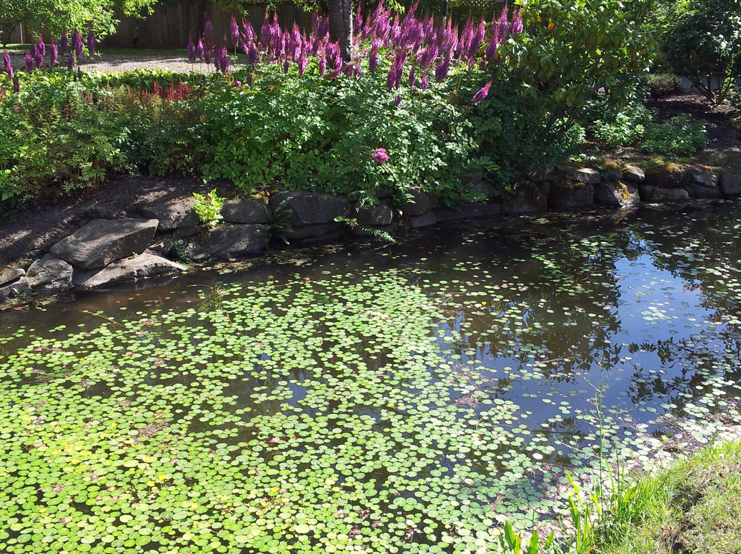 Japanese Garden-Mayne Island必去景点