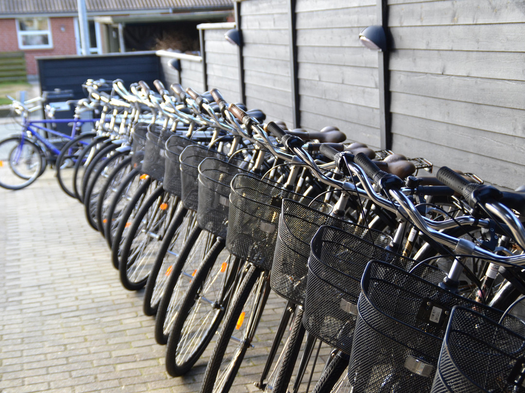 Hune-Blokhus Cykeludlejning-布洛克胡斯必去景点