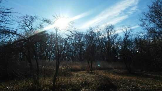 Lincoln Memorial Garden-斯普林菲尔德必去景点