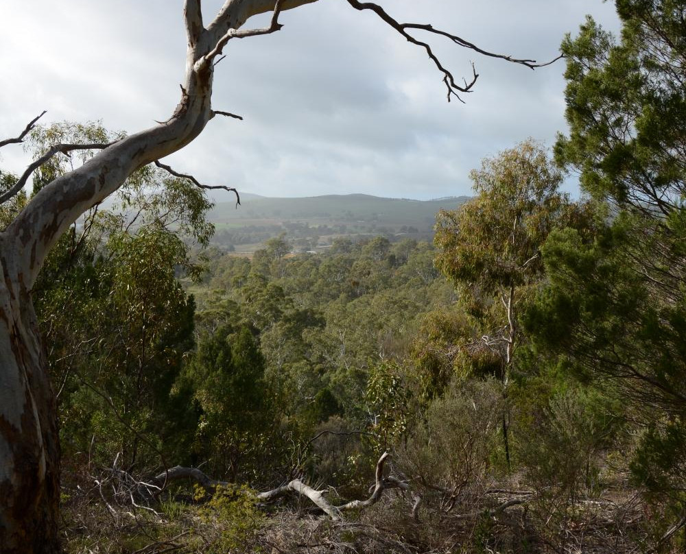 Altona CSR Landcare Reserve景点图片