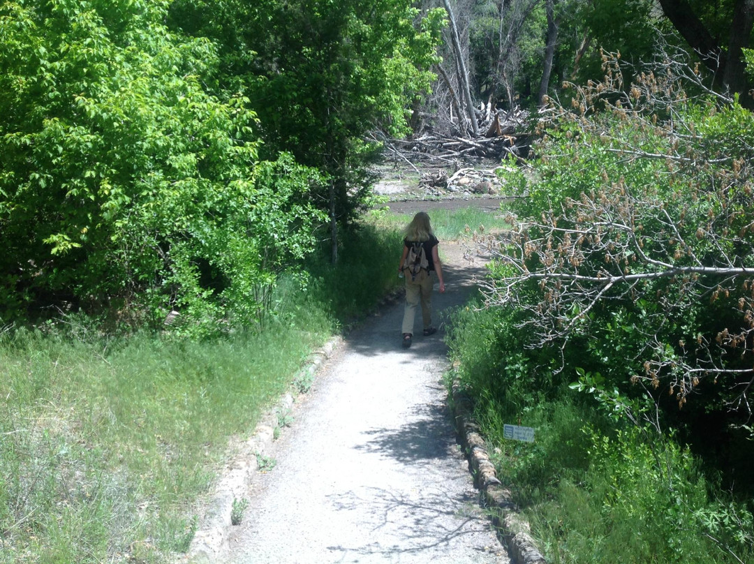 Frijoles Canyon-Los Alamos必去景点
