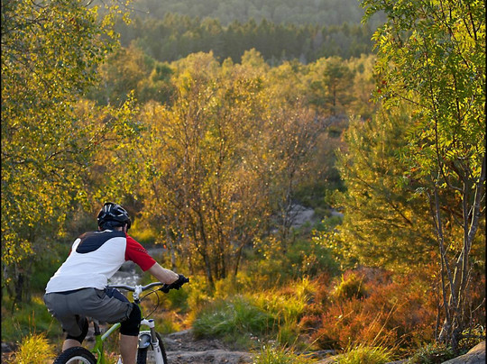 Hillside Cycling - Guided Mountainbike Tours-哥德堡必去景点