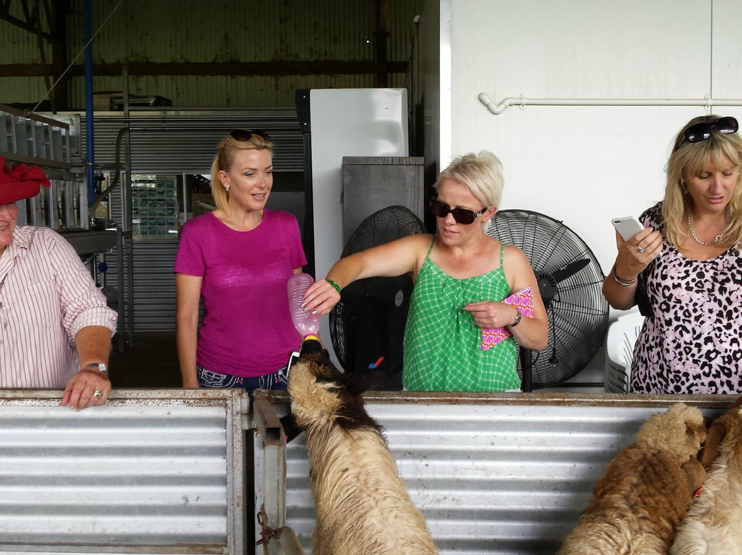 Beach 2 Bush Tours-Waterford必去景点