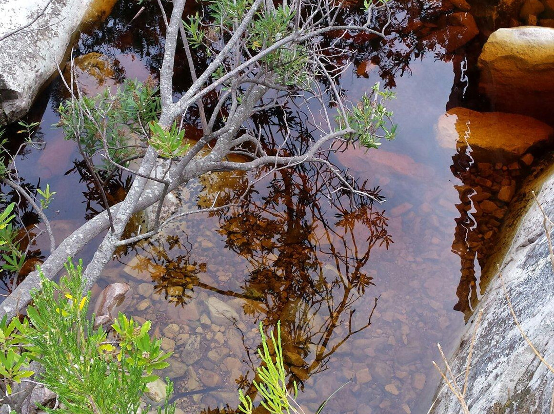 Harold Porter National Botanical Gardens-Betty's Bay必去景点