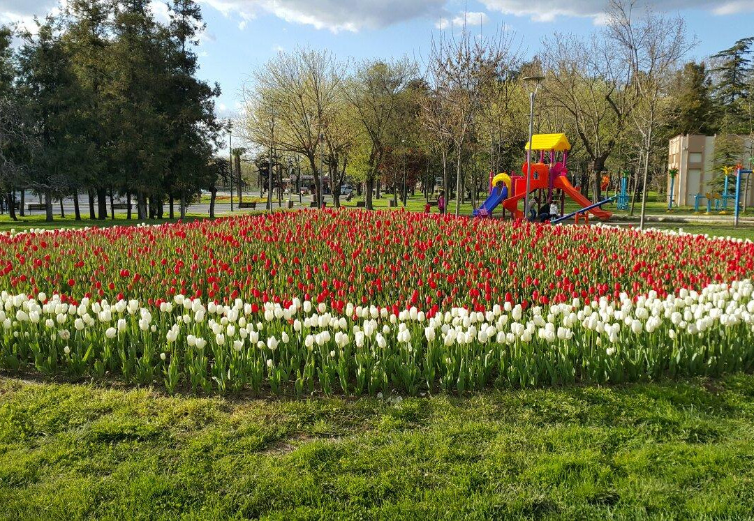 Bursa Culture Park景点图片