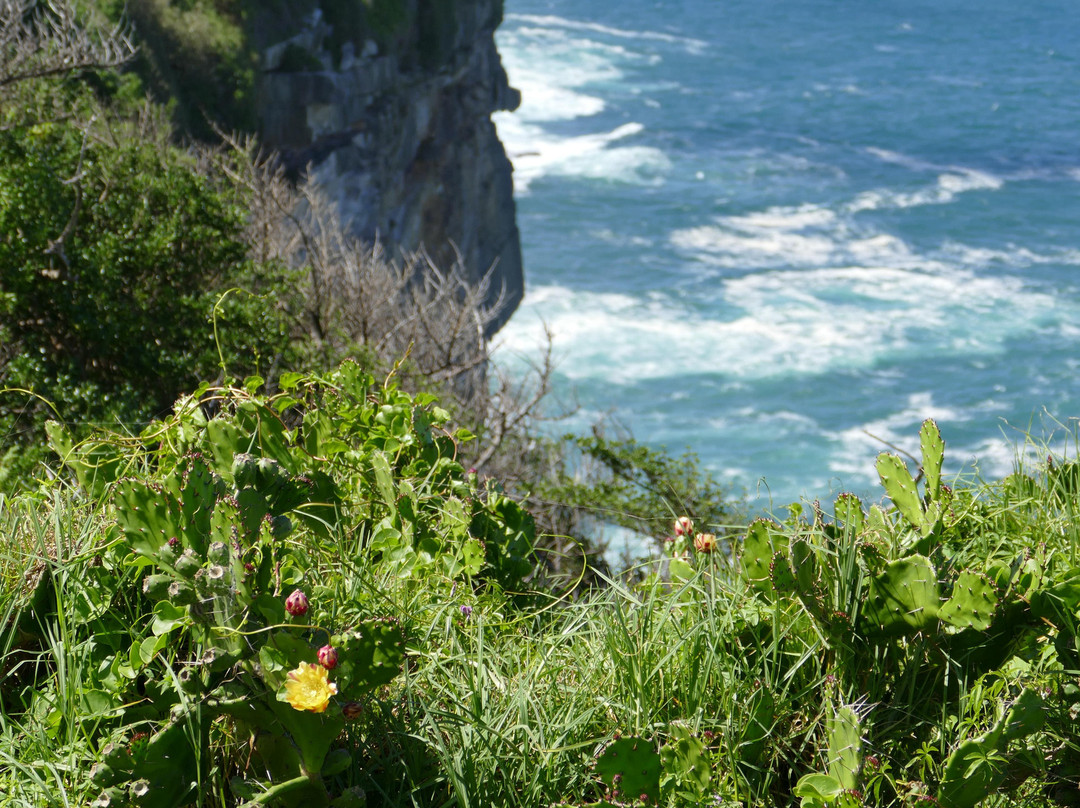 Christison Park-Vaucluse必去景点