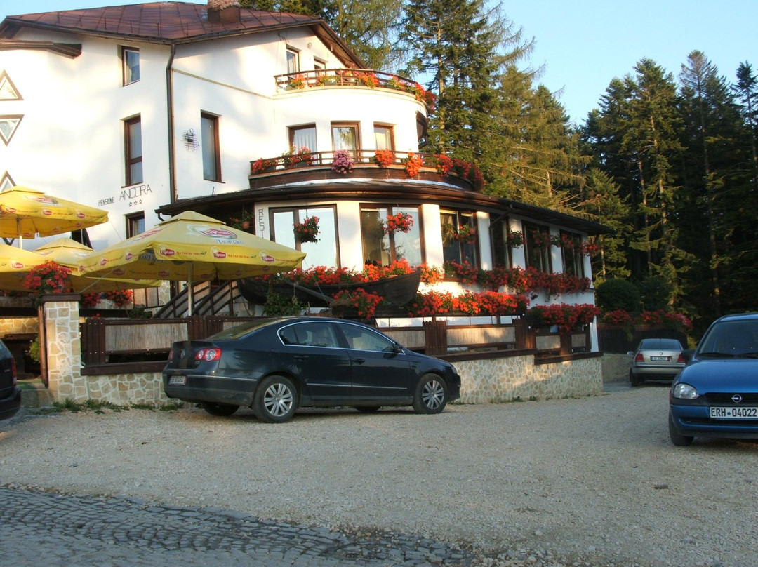 Pensiunea Restaurant Ancora Predeal