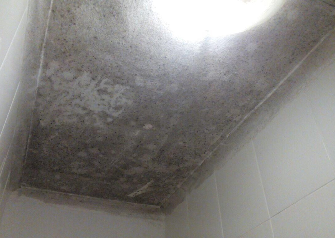 Tshedza Guest Lodge主图