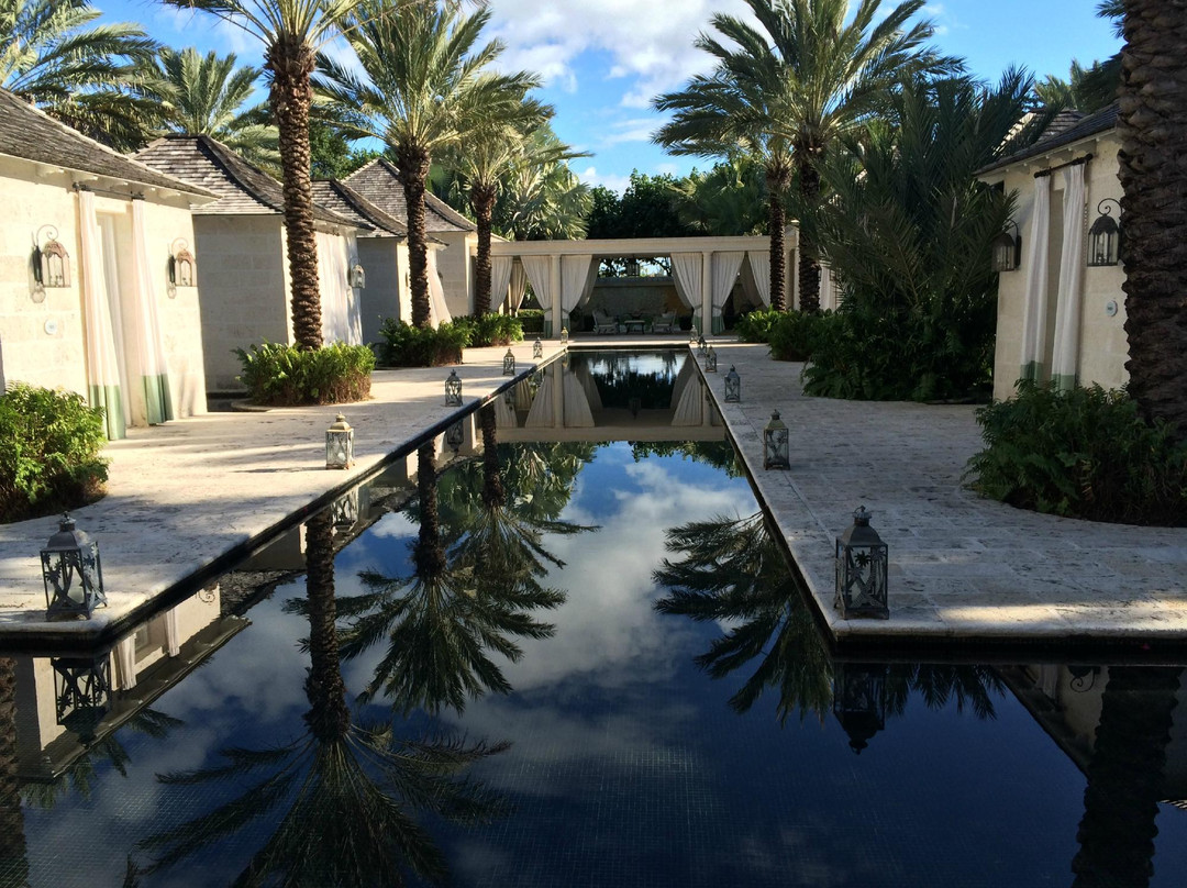 The Spa at The Palms-普罗维登西亚莱斯必去景点