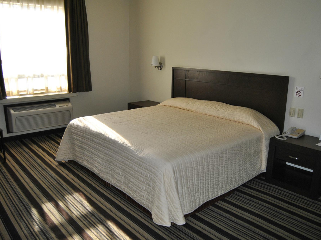 Hotel Alameda de Matamoros Express主图