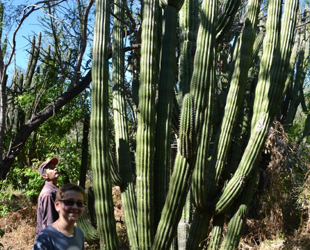 Cactus Sanctuary-El Triunfo必去景点