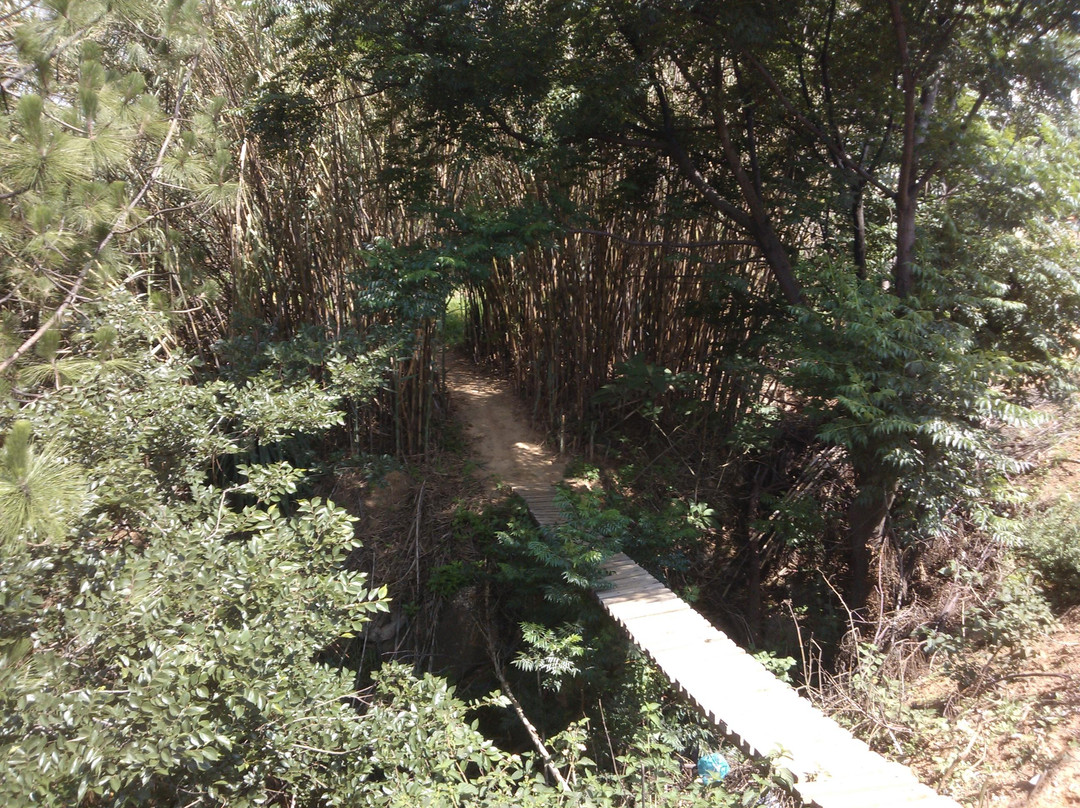 PwC Cycle Park-布莱恩斯顿必去景点