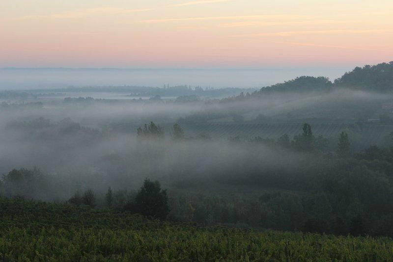 French Wine Adventures景点图片