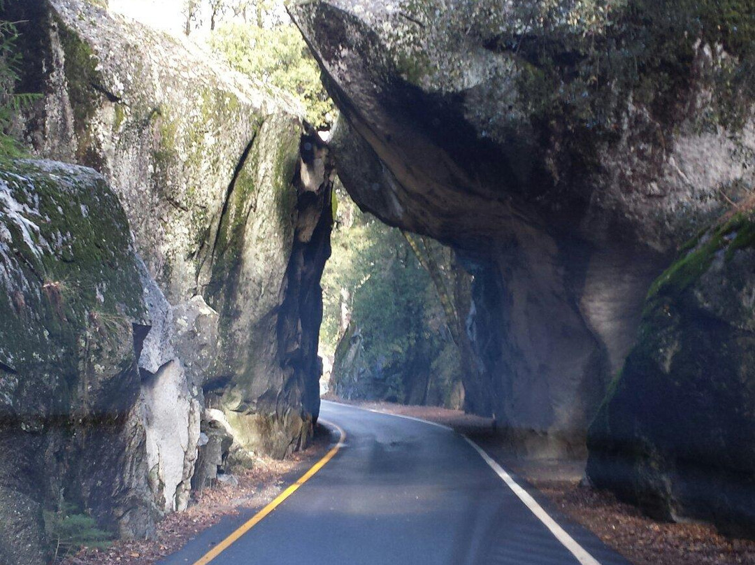 Scenic Route Highway 49景点图片