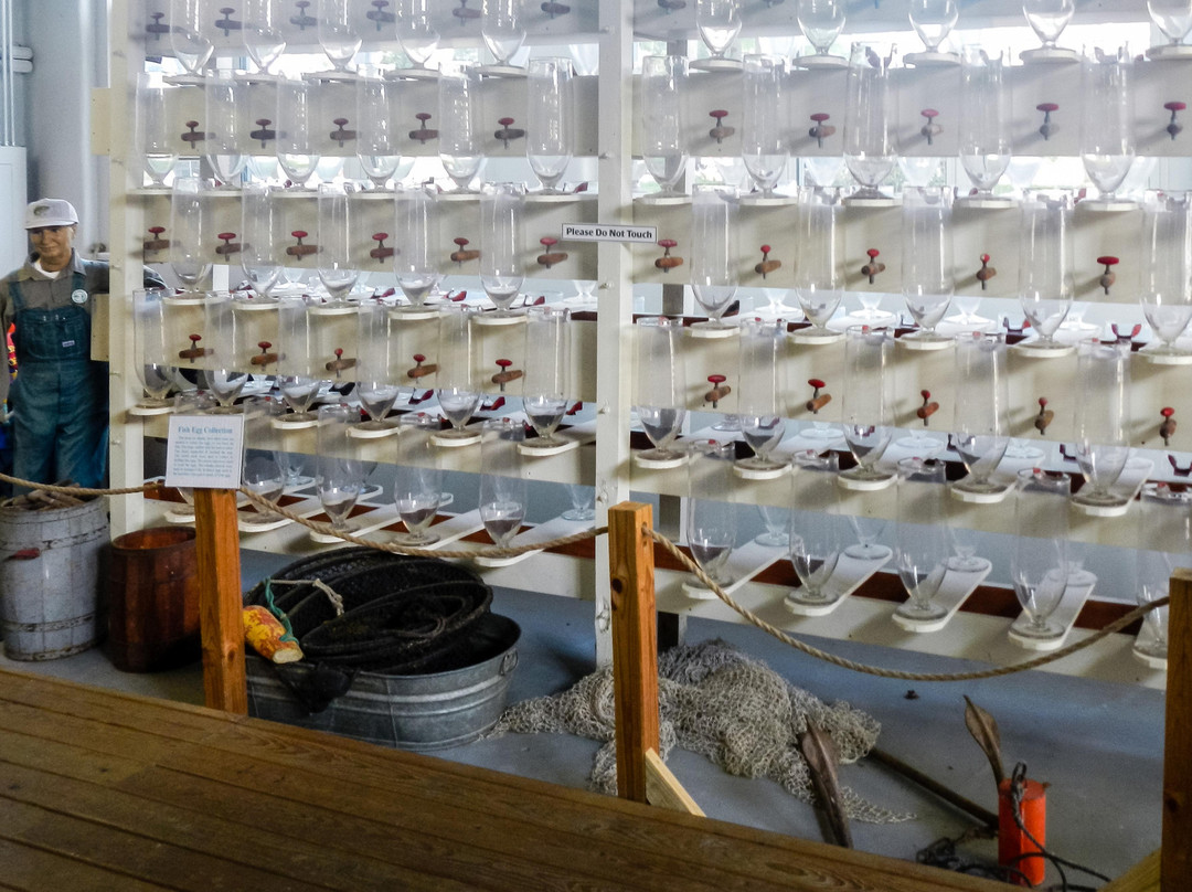 Aquatic Resource Center-Put in Bay必去景点