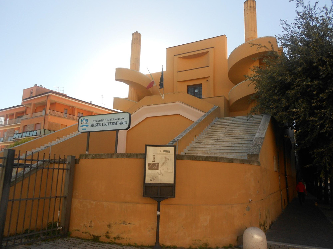 Museo Universitario景点图片