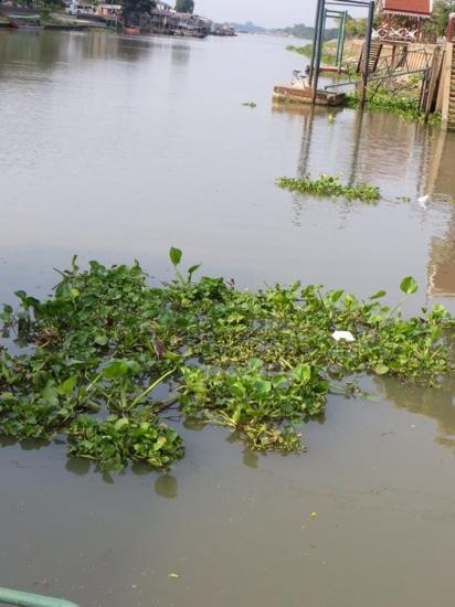 Wat Niwet Thammaprawat-挽巴茵必去景点