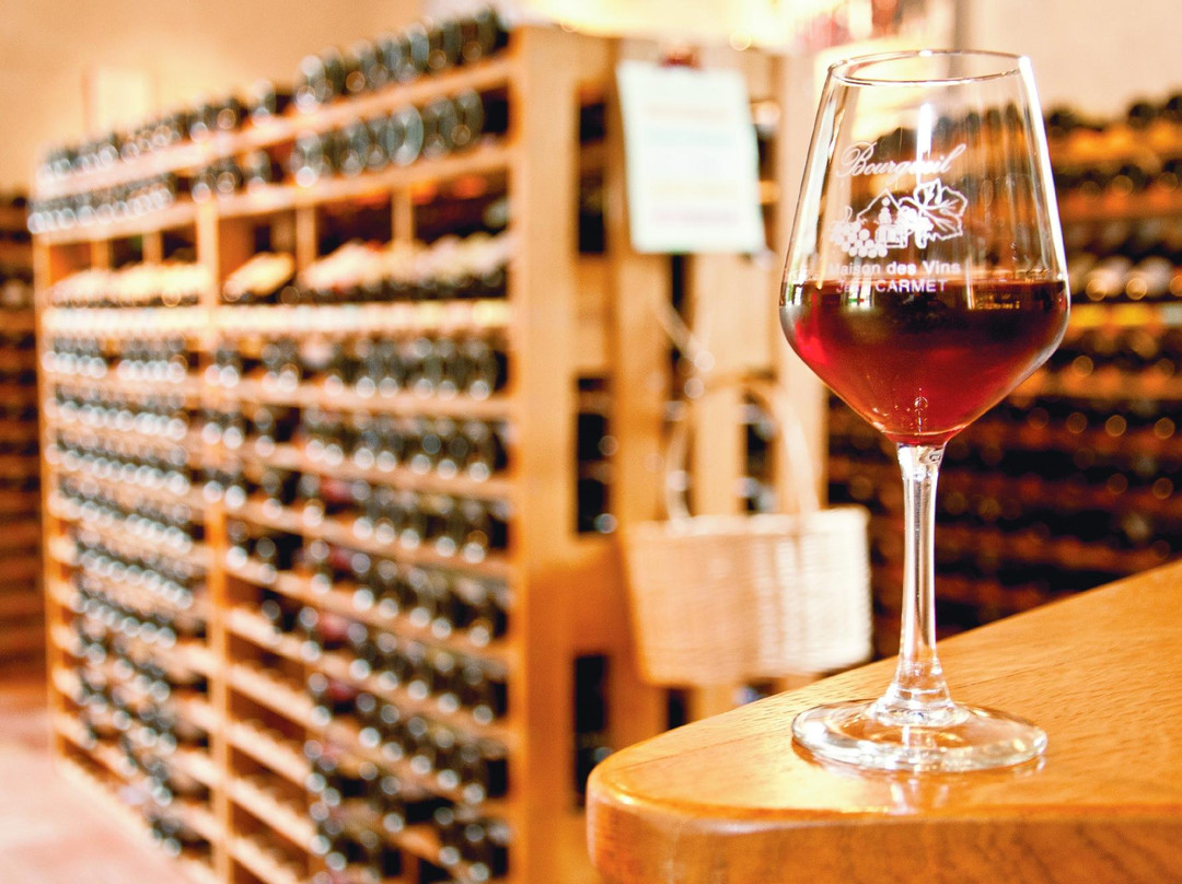 Maison des Vins de Bourgueil景点图片