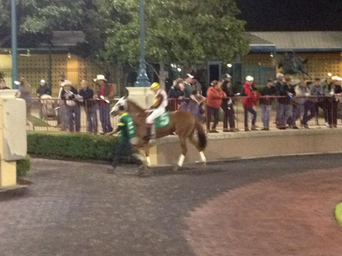 Lone Star Park-大草原城必去景点