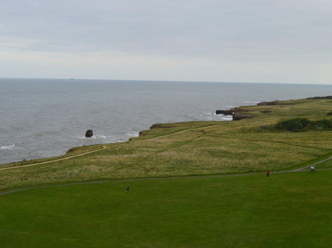 Souter Lighthouse and The Leas-桑德兰必去景点