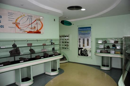 Natural Sciences Museum景点图片