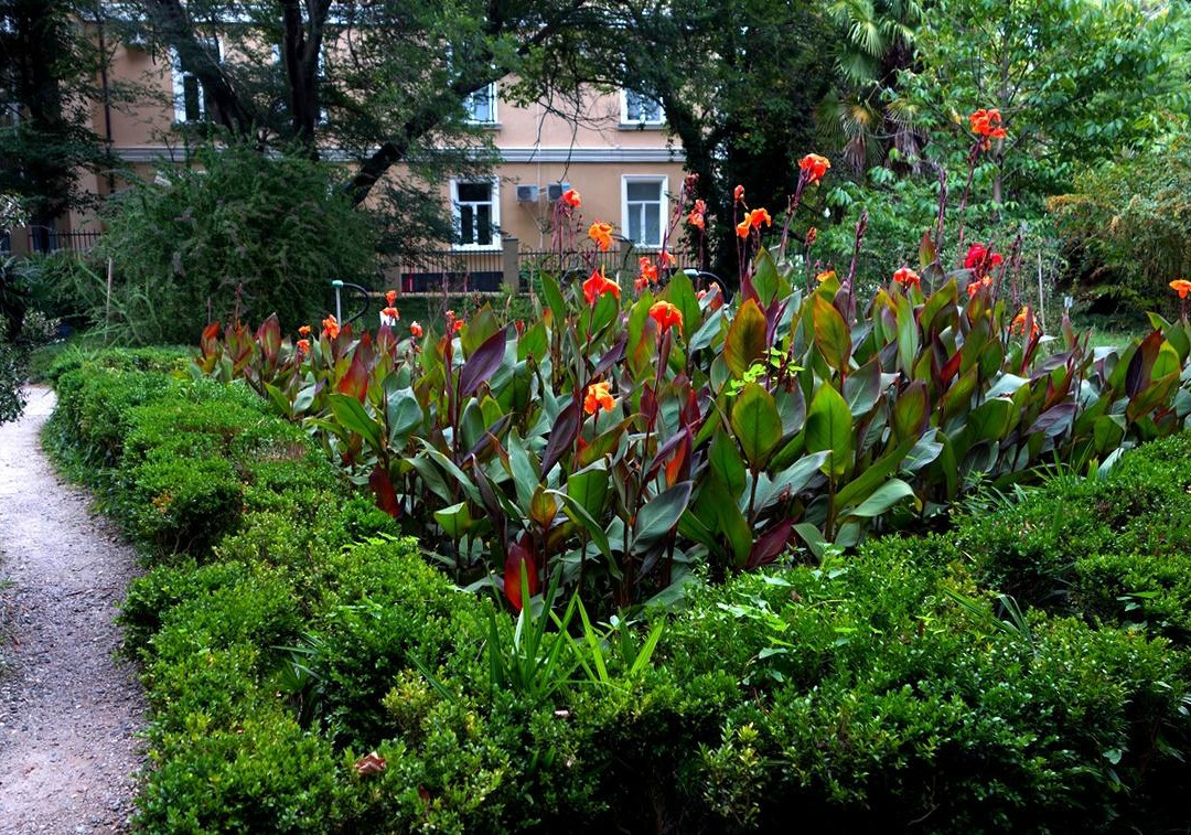 Sukhumi Botanical Garden景点图片