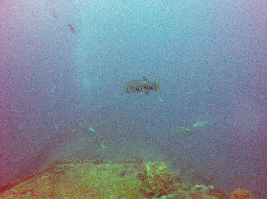 USCG Duane-拉哥岛必去景点