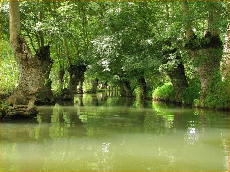 Venise Verte Loisirs景点图片