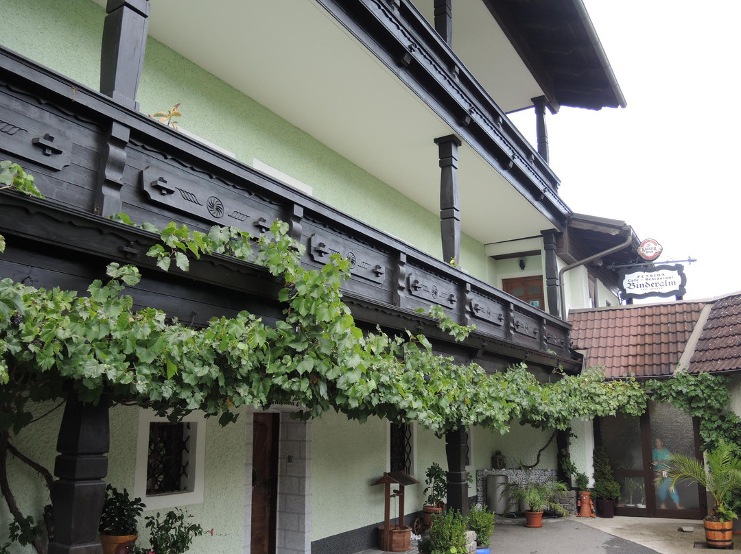Pension Binderalm