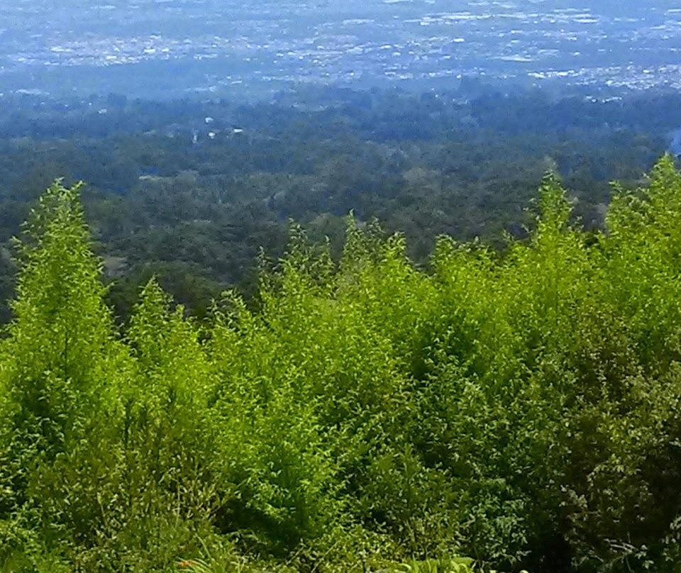 Monte de la Cruz景点图片