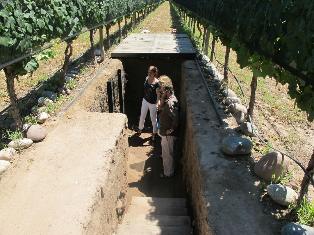 Mendoza Wine Camp-门多萨必去景点