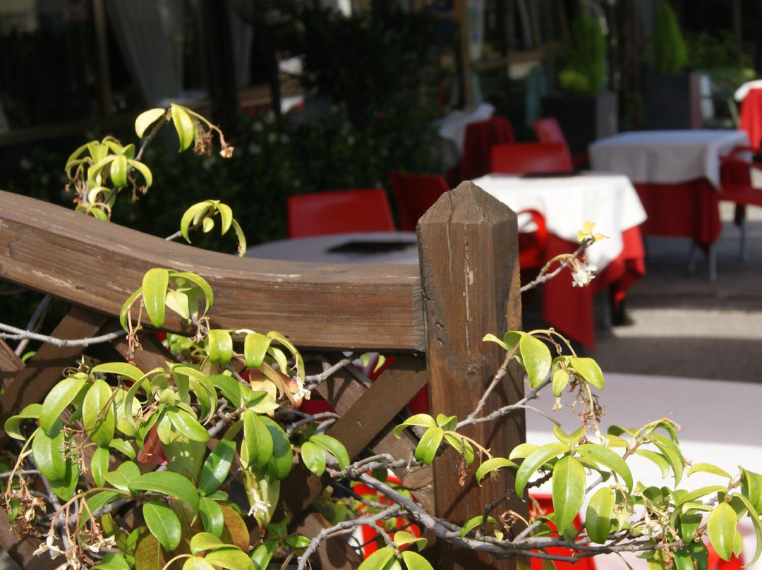 Oriago di Mira酒店住宿-Hotel Vettore dal 1947