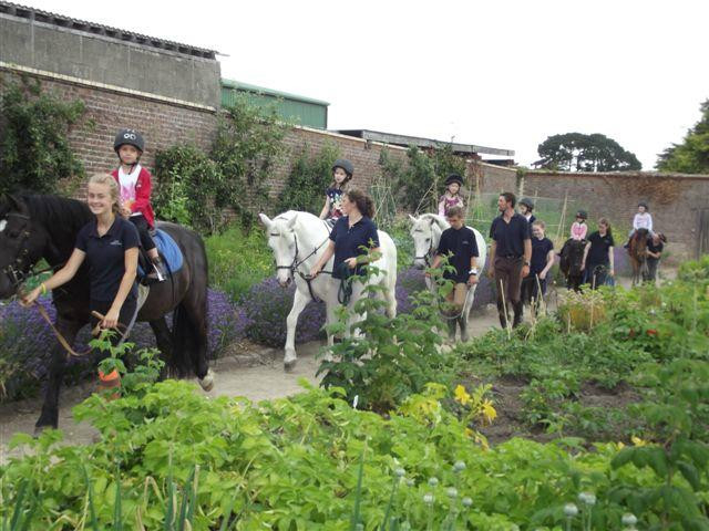 Festina Lente Equestrian Centre & Walled Gardens-布瑞必去景点