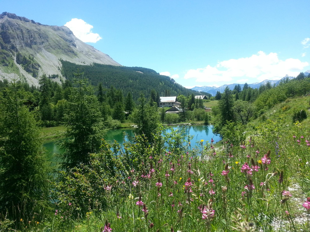 Le Relais de la Cayolle主图