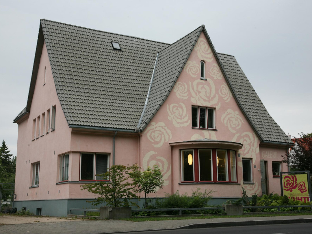 Vuhti House Gallery-派尔努必去景点