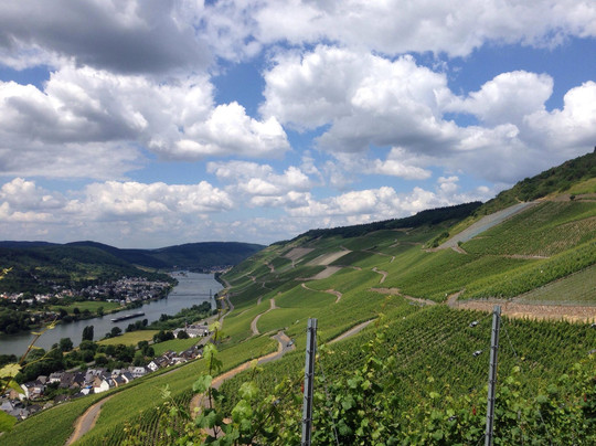 Wehlen餐馆和美食-Kemmers Hotel Panorama