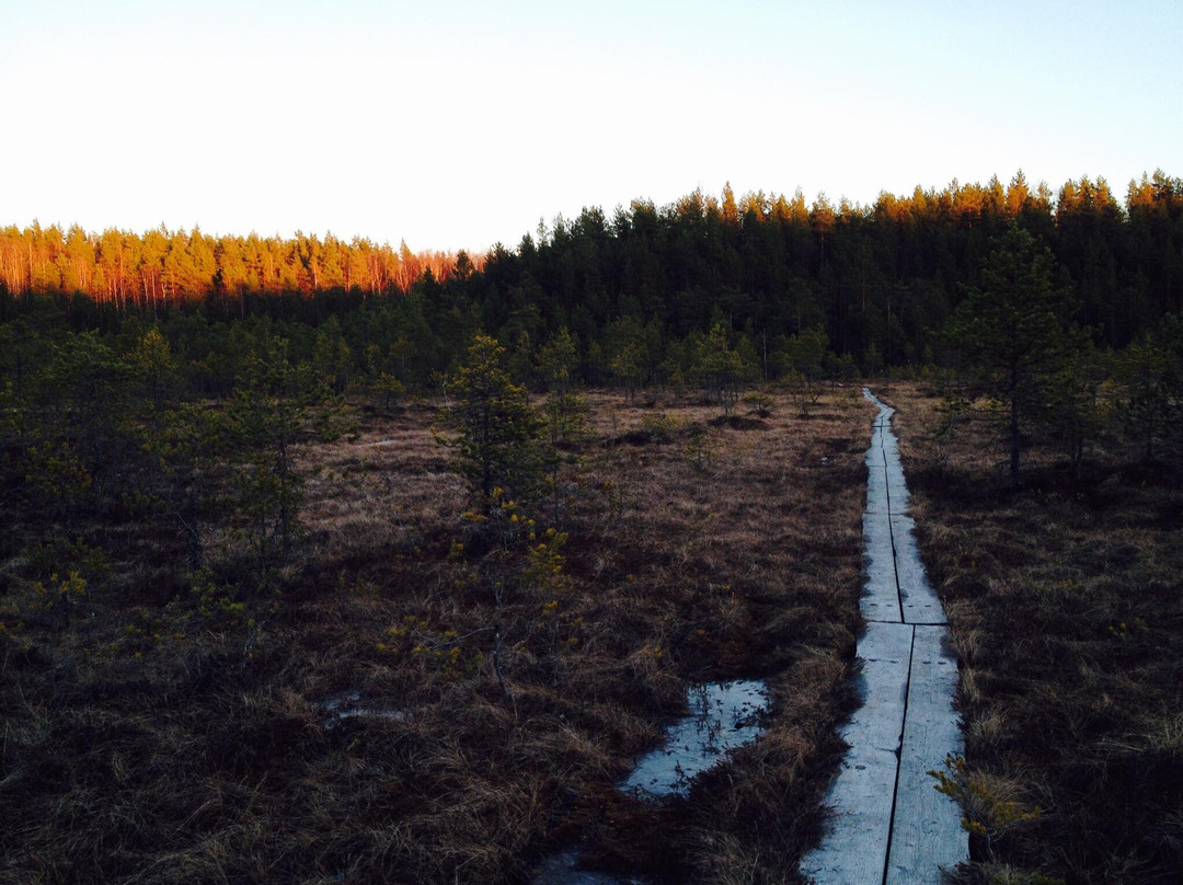 Leivonmaki National Park-Joutsa必去景点