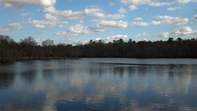 Turkey Swamp Park景点图片