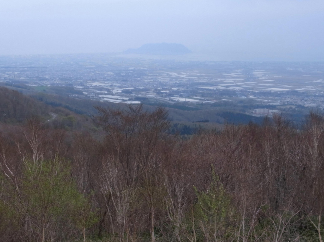 Shirotai Farm-七饭町必去景点