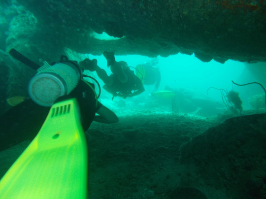 海蜜蜂潜水-查龙必去景点