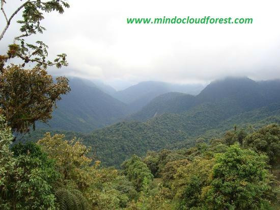 Mindo Nambillo Cloud Forest Reserve景点图片