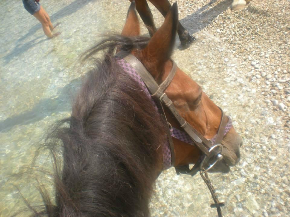 Corfu Riding Centre (Dimitris)ISSOS-Avlaki必去景点