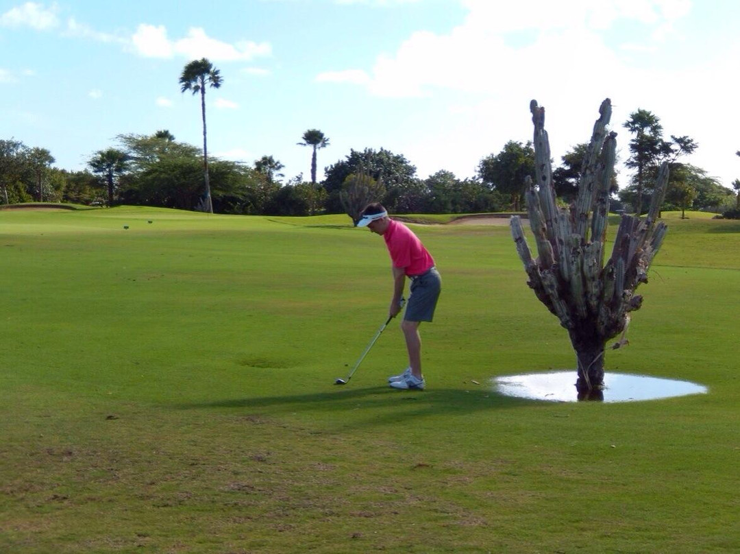 Links at Divi Aruba-奥腊涅斯塔德必去景点