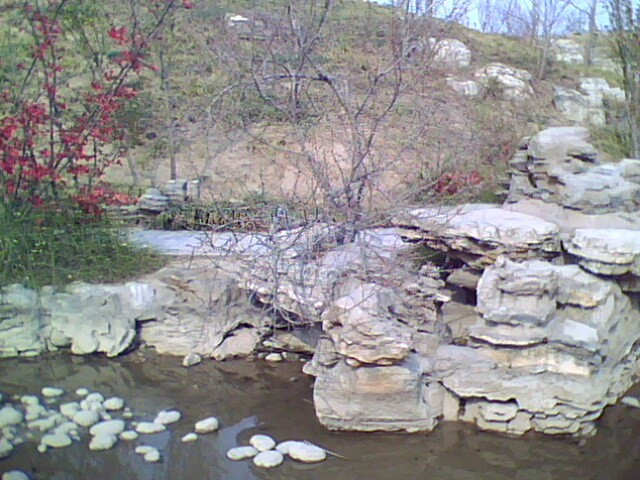 石家庄植物园-鹿泉市必去景点