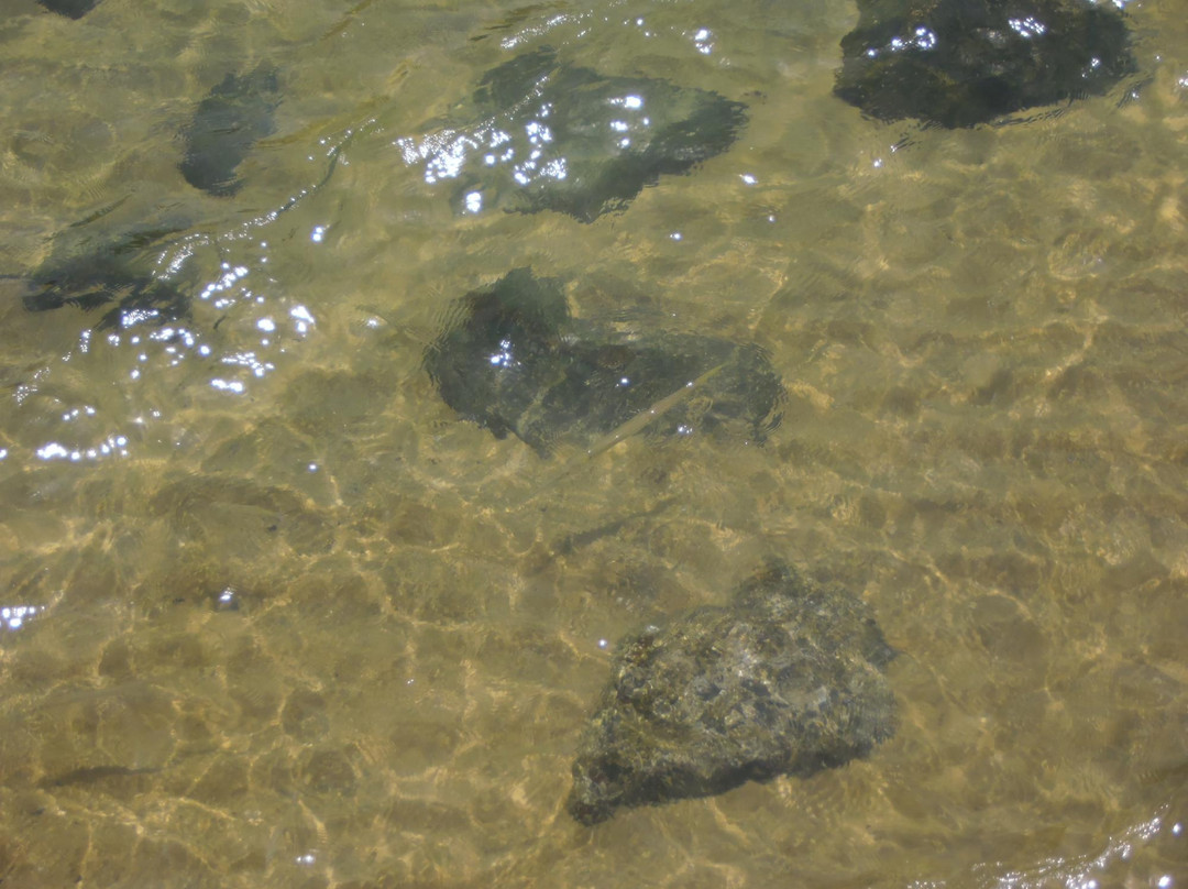 Pedras Miudas Beach-伊利亚贝拉必去景点