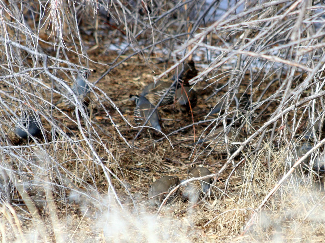 Ogden Nature Center-奥格登必去景点
