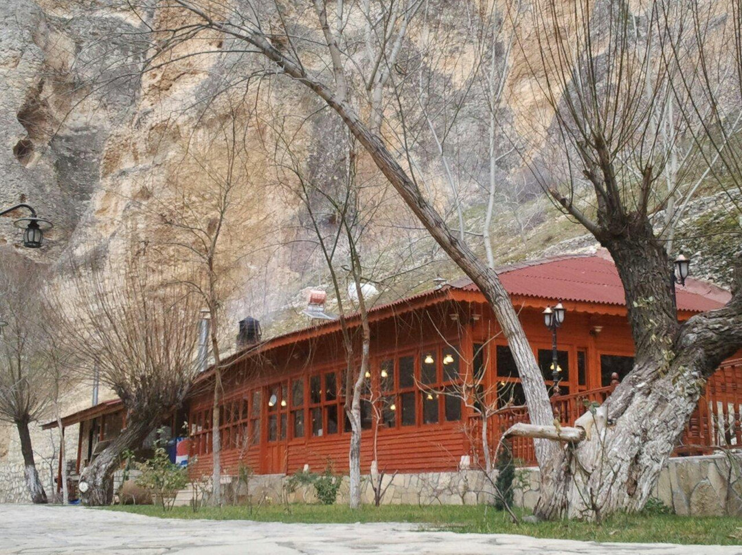 Darende餐馆和美食-Kanyon Alabalik Sofrasi