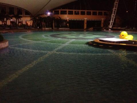 深圳威尼斯英迪格酒店-客卧