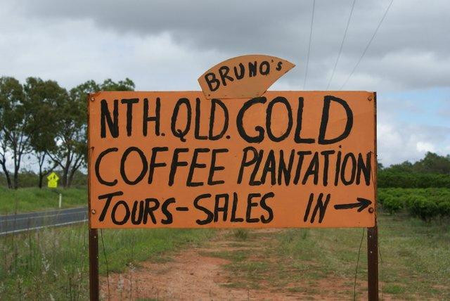 马里巴旅游景点-North Queensland Gold Coffee Plantation