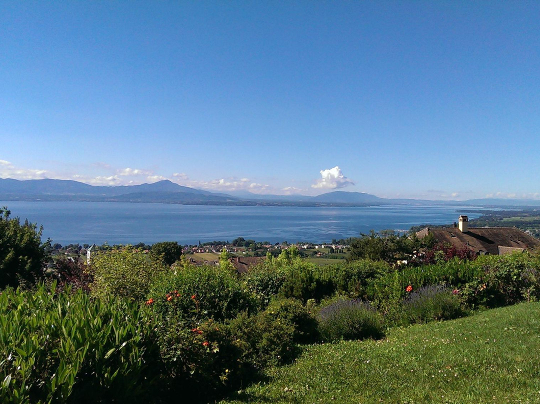 Bougy-Villars旅游攻略图片